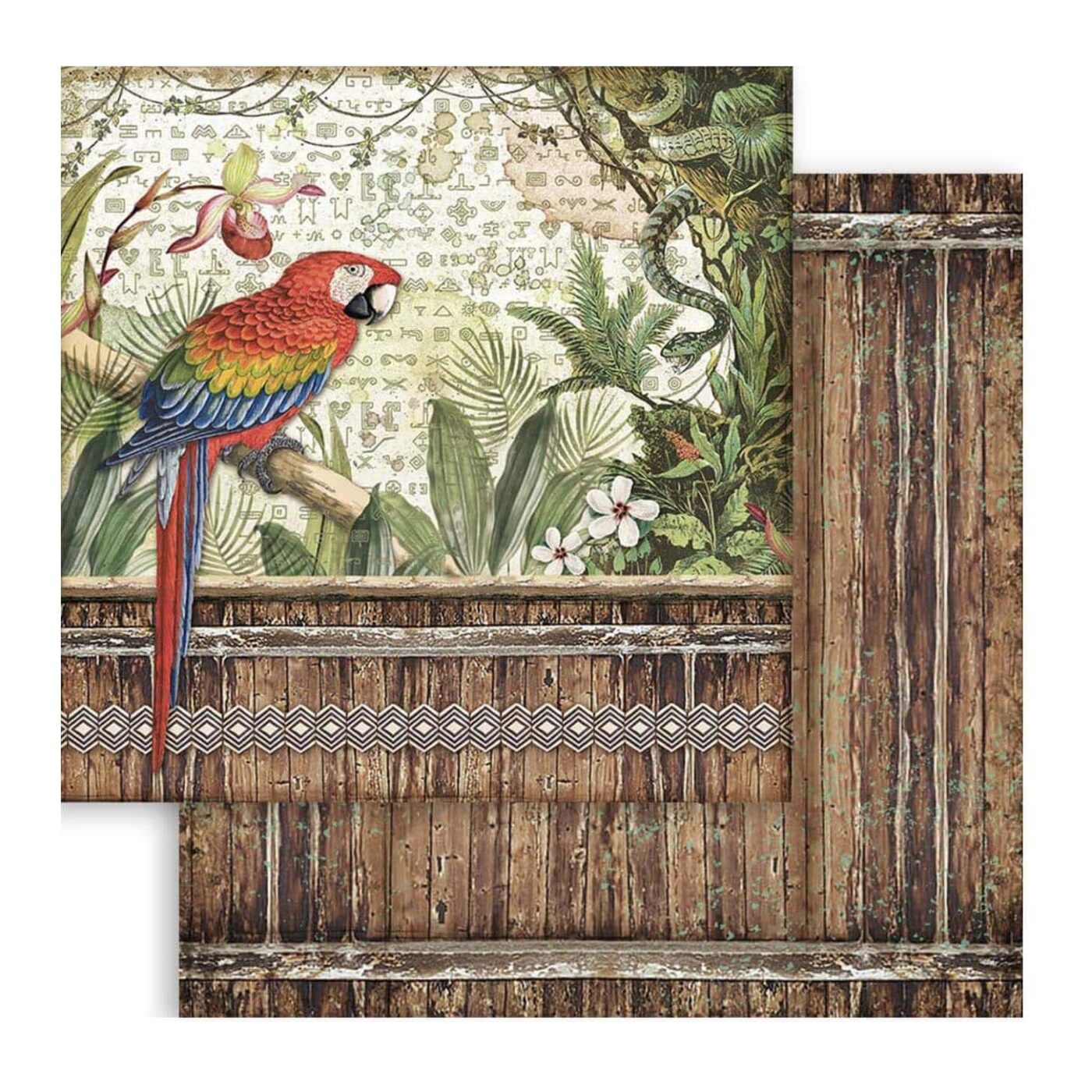 AMAZONIA de Stampería scrapbooking Amazonas Brazil vintage retro La esquinita del scrap México