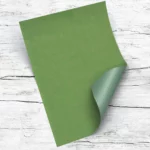 lienzo de polipiel o ecopiel POLIVER5 Smart frog Suzzy