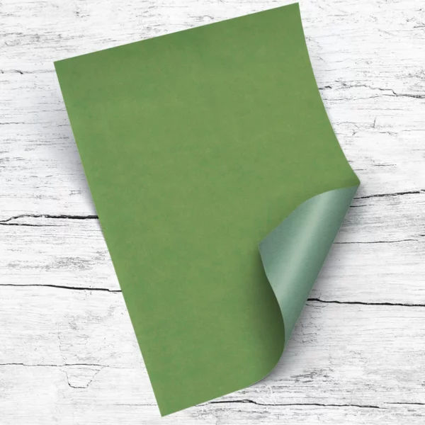lienzo de polipiel o ecopiel POLIVER5 Smart frog Suzzy