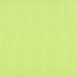 LIMEADE cardstock Bazzill mono cartulina texturizada canvas 12x12 scrapbook La Esquinita del scrap México