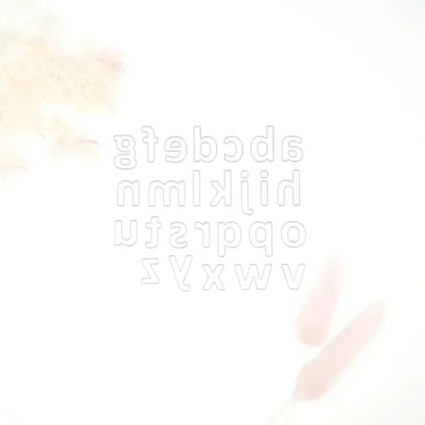 099150 letras abecedario minúsculas
