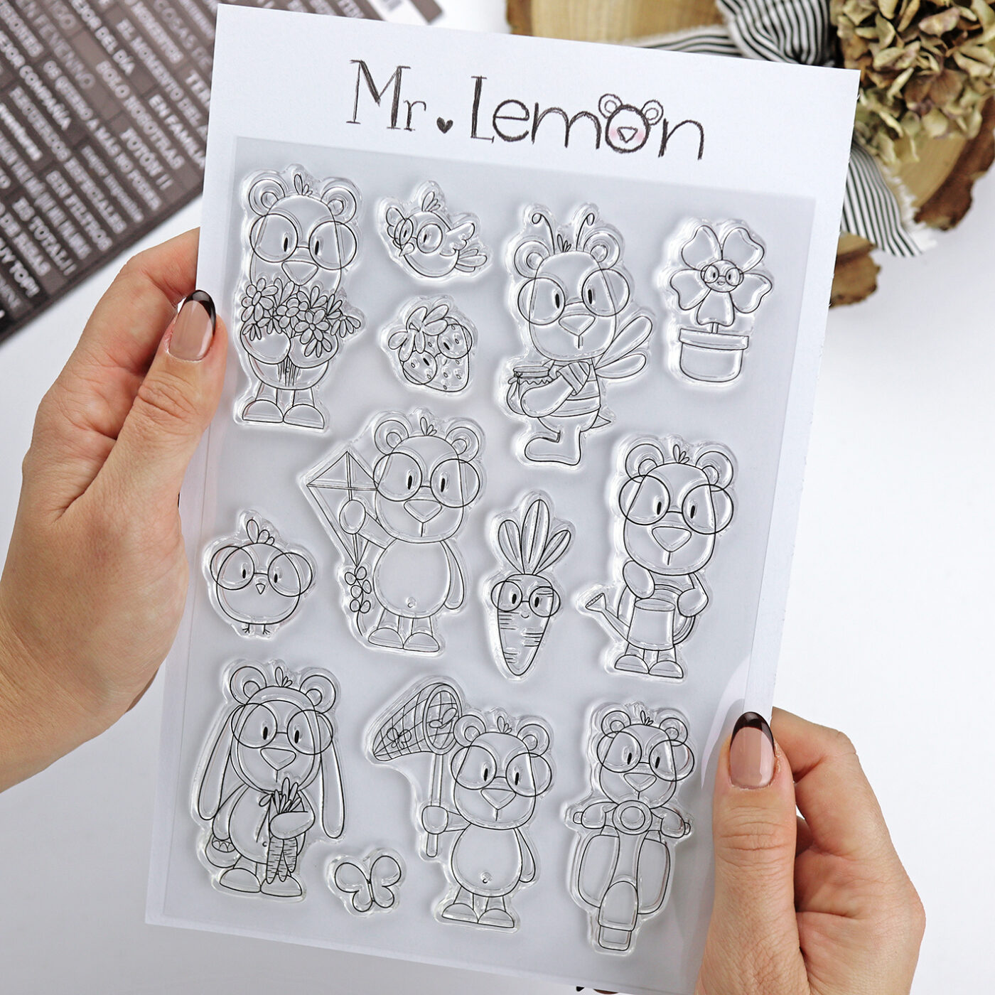 Set de sellos Mr Lemon en Primavera1
