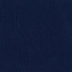 309241 ADMIRAL cardstock 12x12 Bazzill