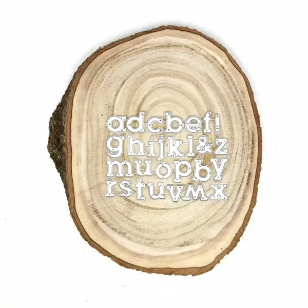 Troquel abecedario minúsculas sueltas; tamaño referencia letra g 15 × 20 mm; suajes para scrapbooking y tarjetería; incluye signos “&” y “!”; compatible con Big Shot