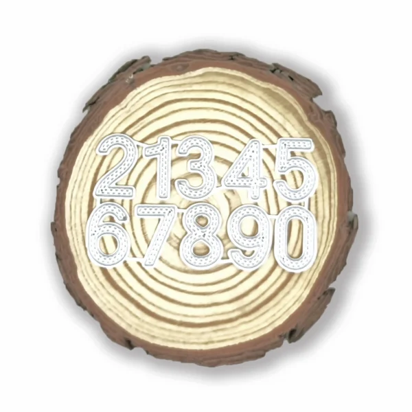 Troquel set de números 0–9 con doble pespunte; tamaño del 8: 14 × 23 mm; suajes separados para scrapbooking y tarjetería; compatible con Big Shot