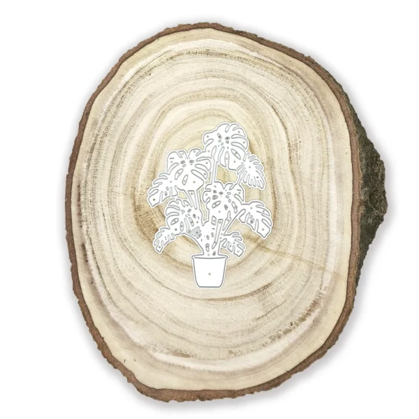 Troquel suaje planta monstera en maceta 73x95 mm para proyectos botánicos y de decoración
