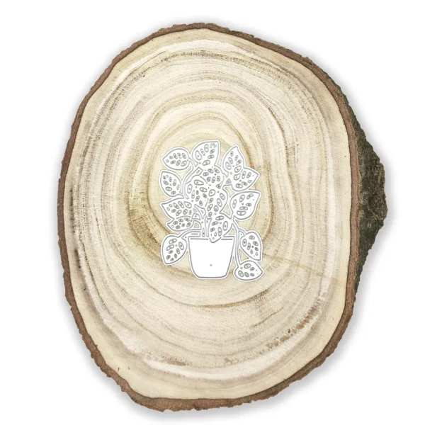 Troquel suaje planta en maceta con hojas caladas 60x80 mm para proyectos botánicos y de decoración