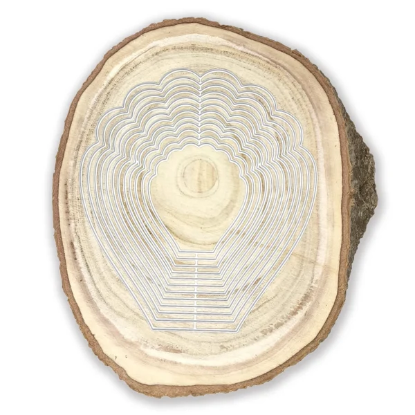 Nido de troqueles de pétalos para crear flores 3D de hasta 140x153 mm, ideal para scrapbooking y tarjetería