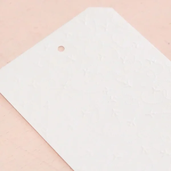carpeta de embossing aviones A Volar Mintopía La esquinita del scrap México 2