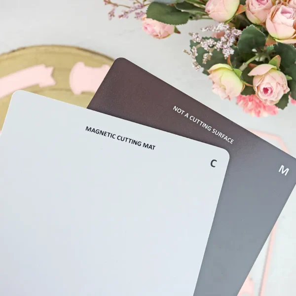 placa magnética para CocoMummy Alúa Cid 1