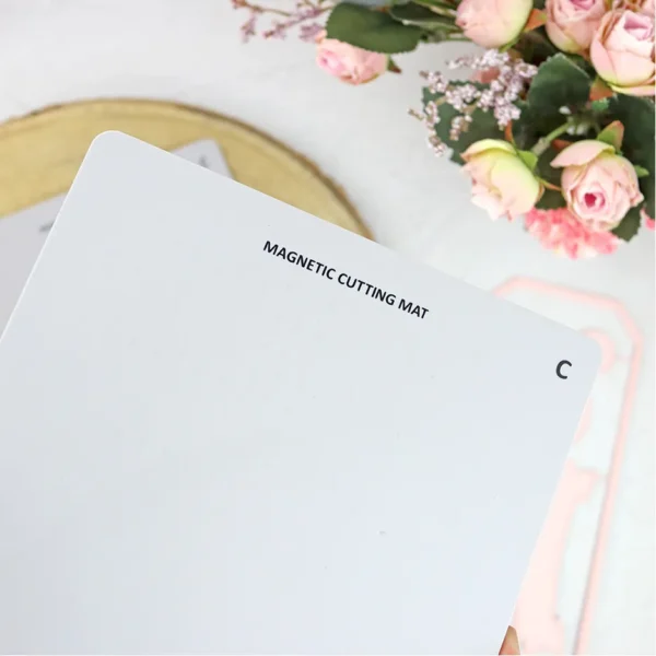 placa magnética para CocoMummy Alúa Cid 3